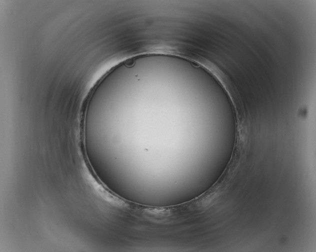 X0000111251147200907091417