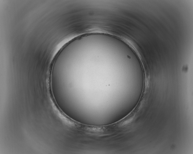 X0000111251149200907091417