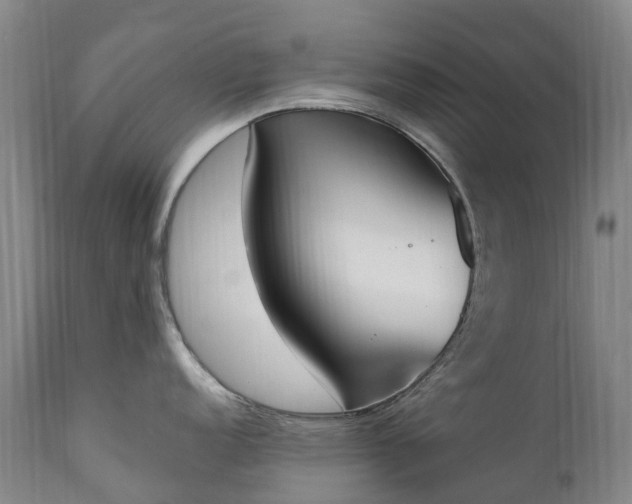 X0000111251152200907091417