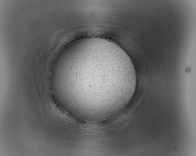 X0000111251153200907091417