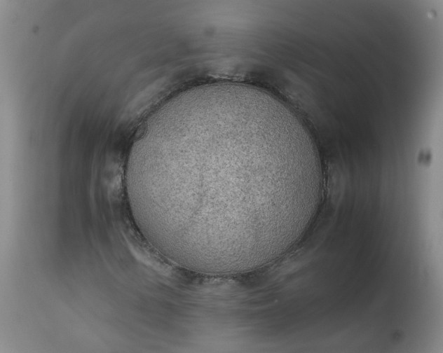 X0000111251154200907091417