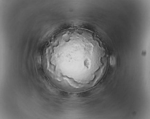 X0000111251155200907091416