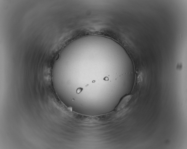 X0000111251156200907091416