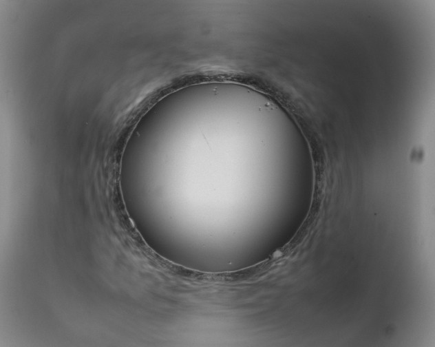 X0000111251157200907091416