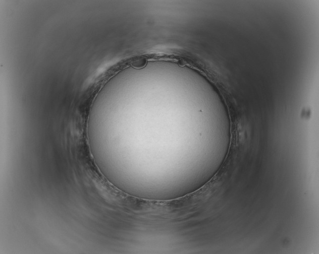 X0000111251158200907091416