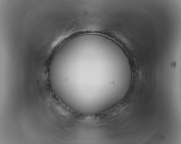 X0000111251160200907091416