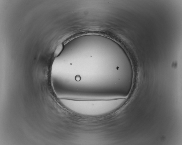 X0000111251161200907091416