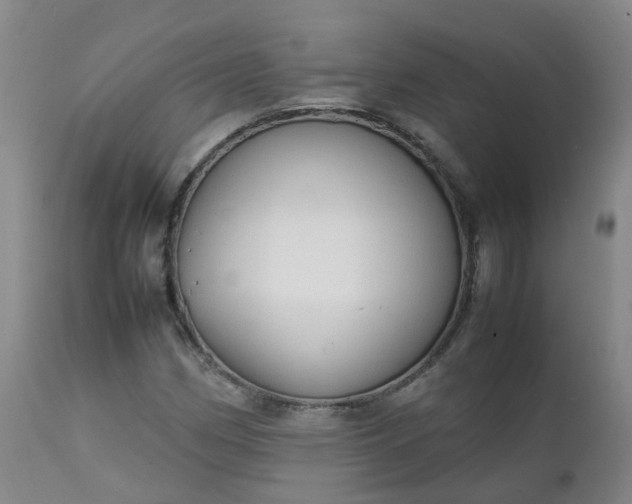 X0000111251162200907091416