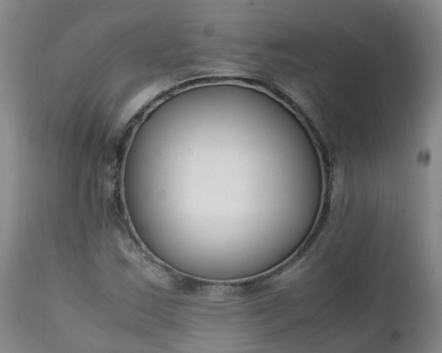 X0000111251163200907091416