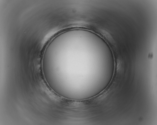 X0000111251164200907091416