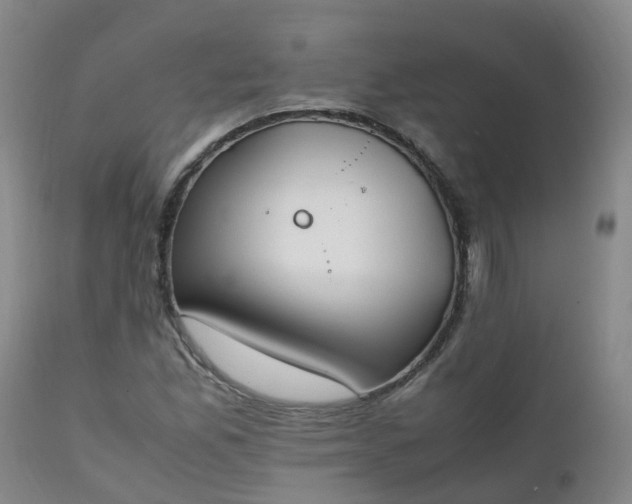 X0000111251165200907091416