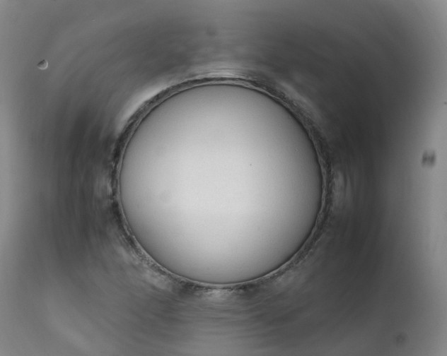 X0000111251166200907091416