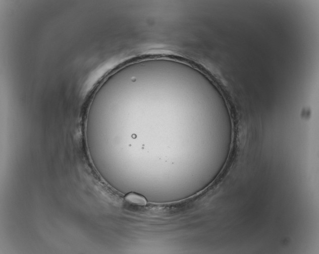 X0000111251167200907091416