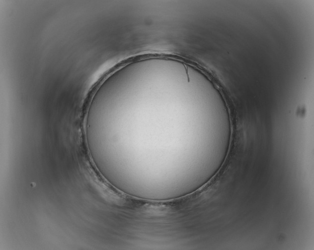 X0000111251168200907091416