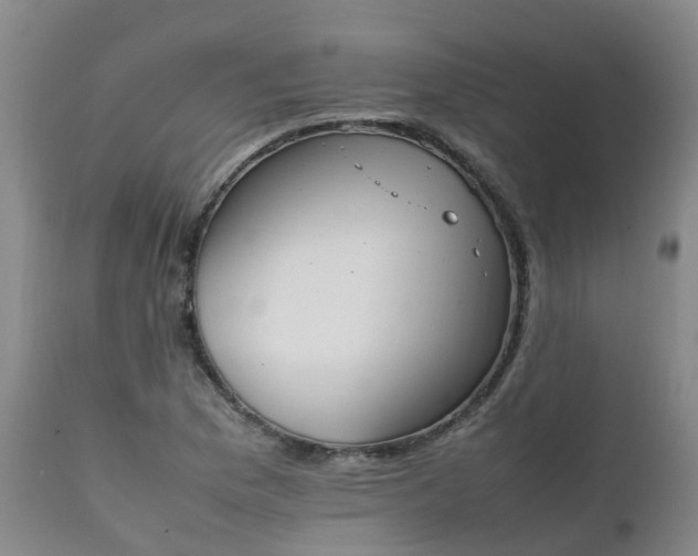 X0000111251169200907091416