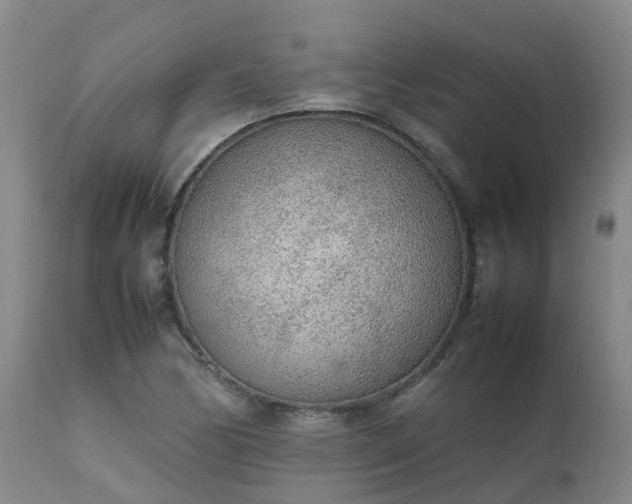 X0000111251170200907091416