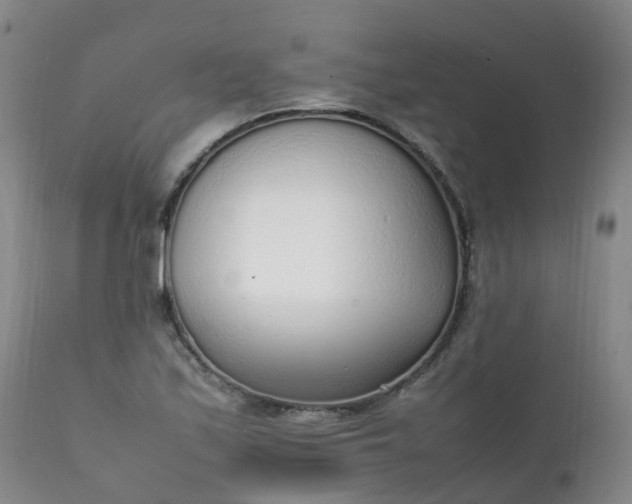 X0000111251171200907091416