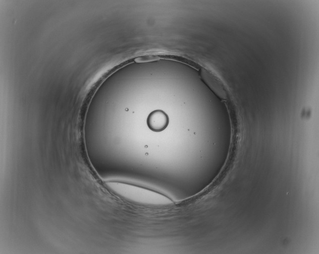 X0000111251173200907091416