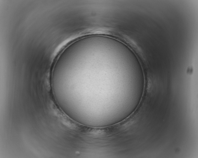 X0000111251174200907091416