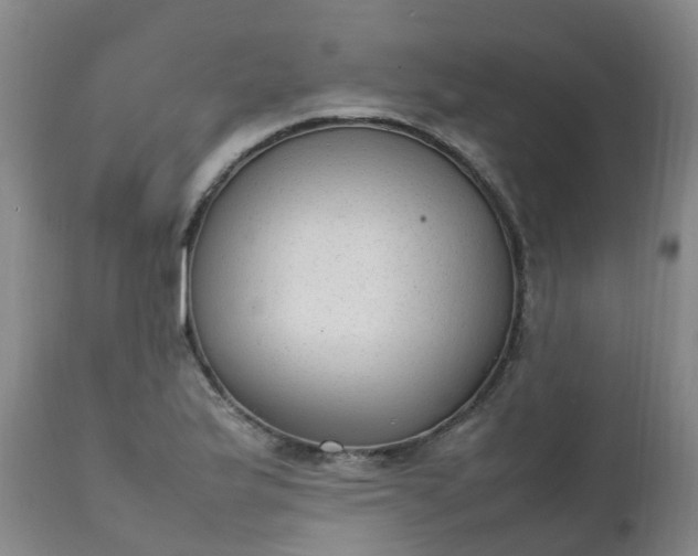 X0000111251175200907091416