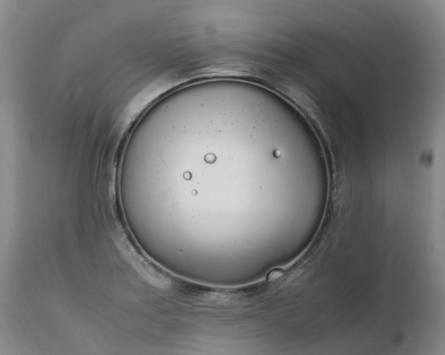 X0000111251179200907091416