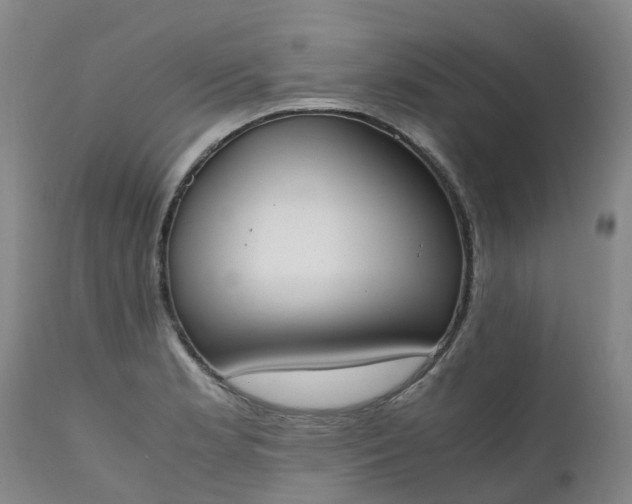 X0000111251181200907091416