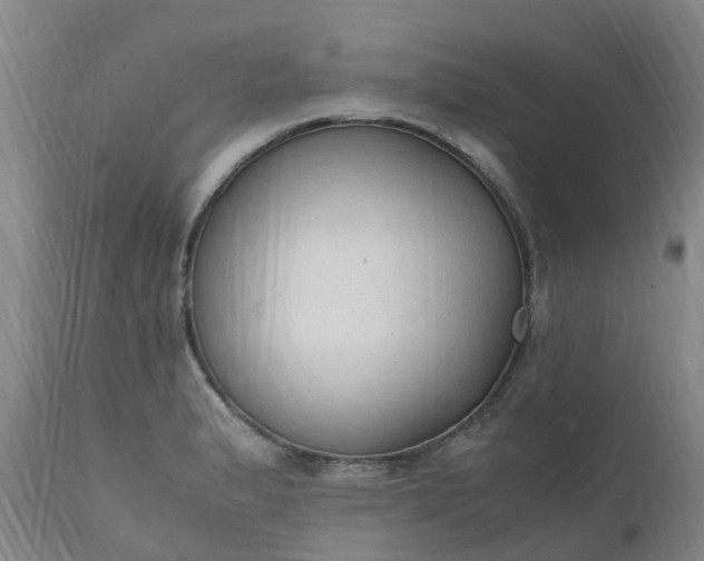 X0000111251183200907091416