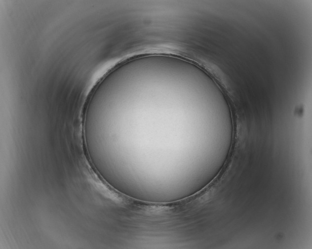 X0000111251184200907091416