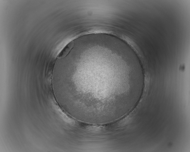 X0000111251185200907091416