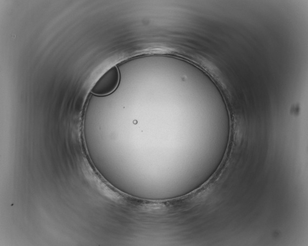 X0000111251186200907091416