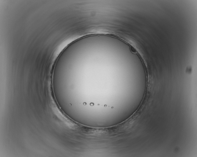 X0000111251187200907091416