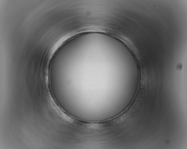 X0000111251188200907091416