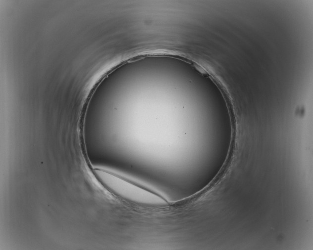 X0000111251189200907091416