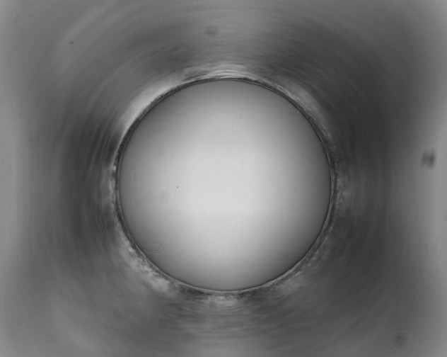 X0000111251190200907091416