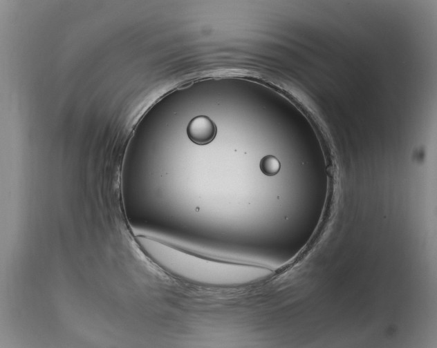 X0000111251193200907091416