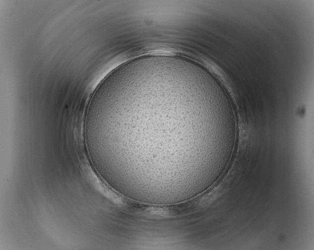 X0000111251194200907091416