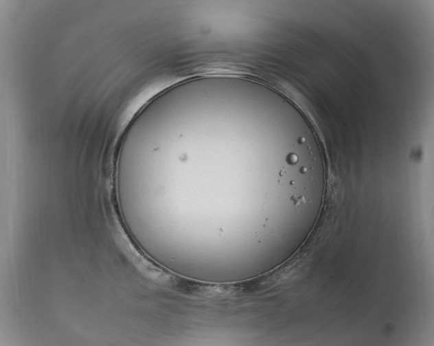 X0000111251195200907091416