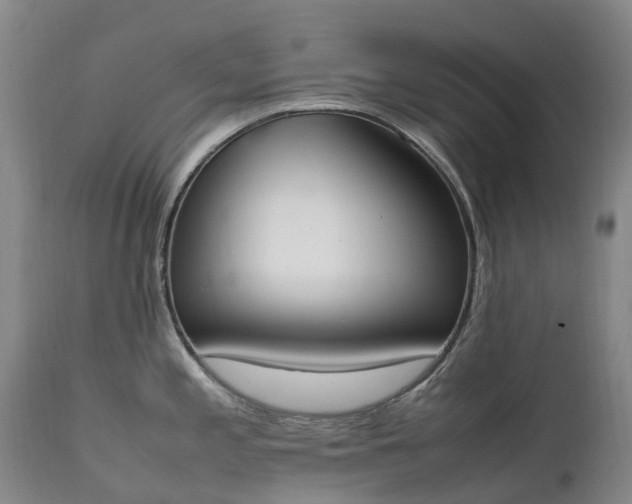 X0000111251197200907091416