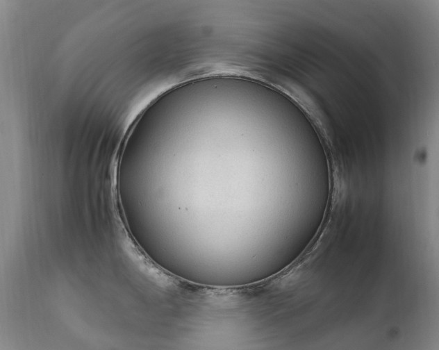 X0000111251198200907091416