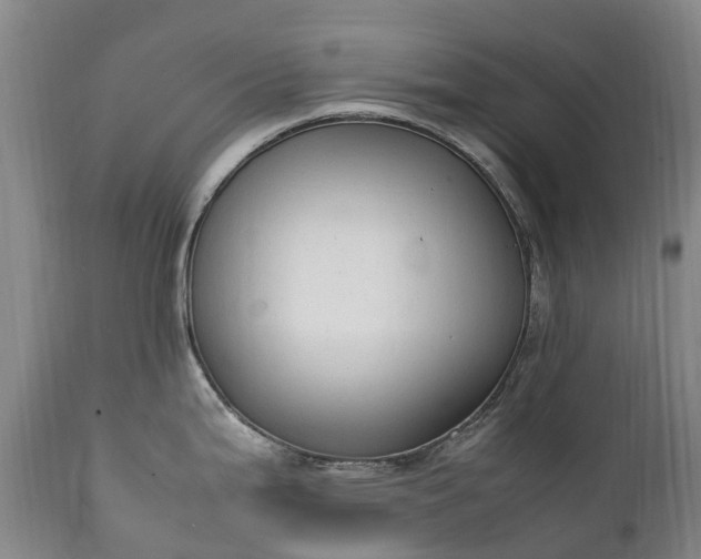 X0000111251199200907091416