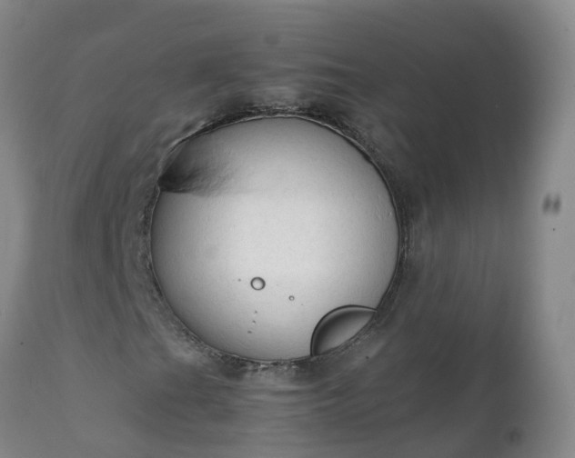 X0000111251201200907091415