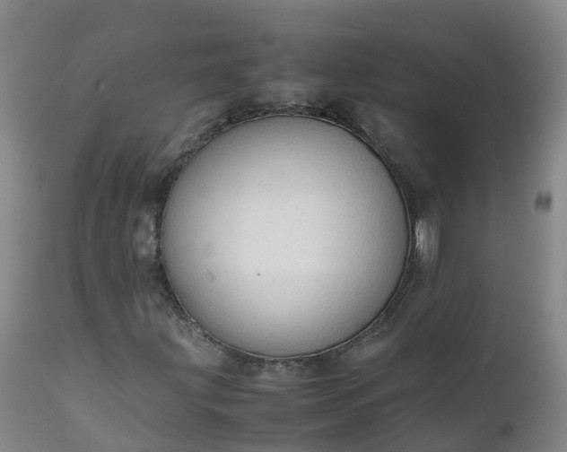 X0000111251203200907091415