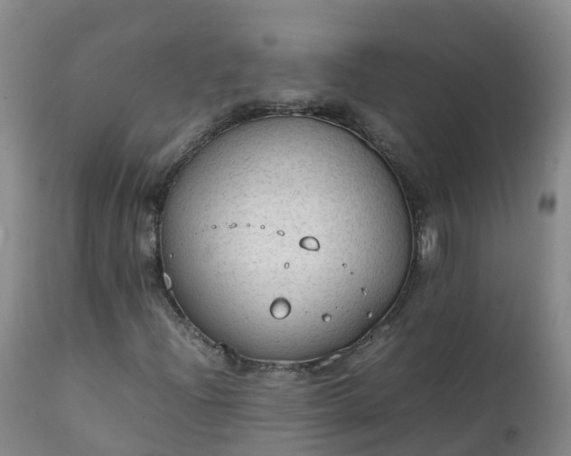 X0000111251204200907091415