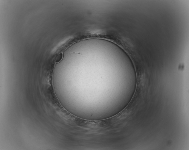 X0000111251205200907091415