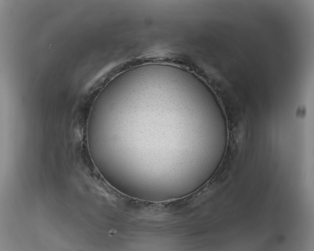 X0000111251206200907091415