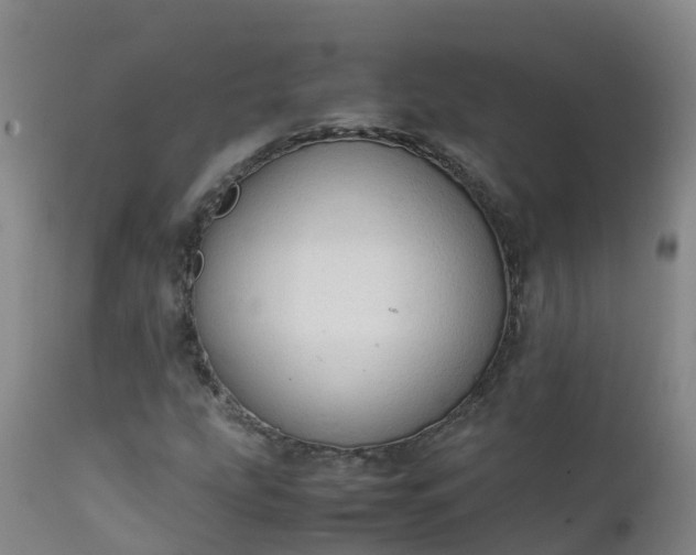 X0000111251207200907091415