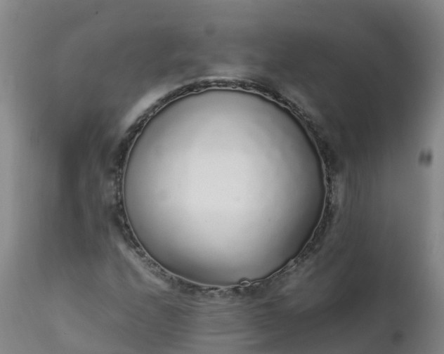 X0000111251208200907091415