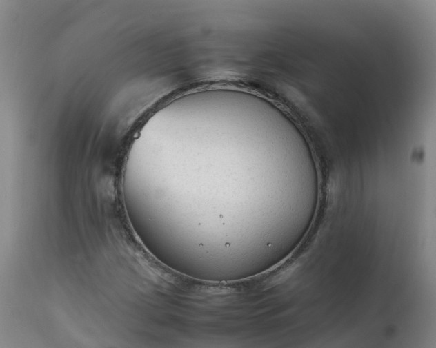 X0000111251209200907091415