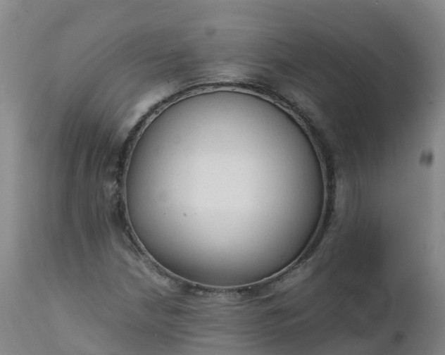 X0000111251210200907091415