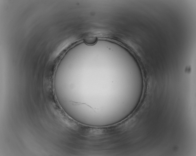 X0000111251211200907091415